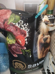 Сухий корм Savory Fresh Lamb Adult Small Breed для собак малих порід з ягнятком 8 кг