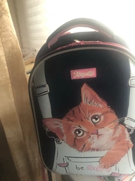 Рюкзак каркасний 1Вересня H-29 My Little Pet (559500)