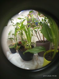 Объектив линзы для смартфона 3в1 Широкоугольная, Макро, Рыбий глаз (Fish Eye) Комплект PAVLYSH FE1 фото от покупателей 1