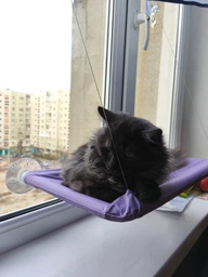 Спальное место для кошки кровать лежанка оконная гамак Sunny Seat Window фото от покупателей 9