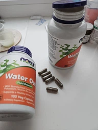 Комплекс для балланса жидкости Water Out Now Foods 100 вегетарианских капсул