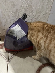 Сухий корм для підтримки здоровя сечовидільної системи котів HUSSE SENSITIVE URINARY CARE 2 кг фото от покупателей 7