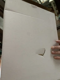 Неоновый светильник Динозавр ночник, 24,7*10*28 см, зеленый свет, 3АА и USB-провод (141400) фото от покупателей 2