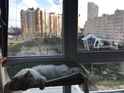 Лежанка для кота на окно подвесная гамак для кошки на присосках (ОL-152925) фото от покупателей 11