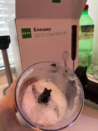 Блендер RZTK Chef 800W фото від покупців 7