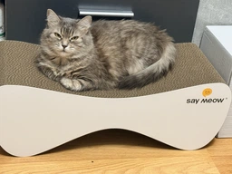 Когтеточка-лежанка для кошек Say Meow Cloud гофрокартон, 61х21х24 см (8040190102001) фото от покупателей 6