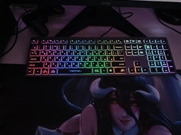 Клавиатура проводная A4Tech FX60H USB Grey Neon backlit (4711421978309)