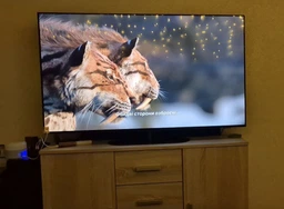 Телевизор Philips 55" 55OLED820/12 фото от покупателей 2