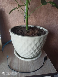 Светодиодная фитолента для комнатных растений от USB Полный спектр от GrowLight 1 метр