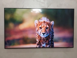 Телевизор Samsung MiniLED 55" QE55QN70FAUXUA фото от покупателей 6
