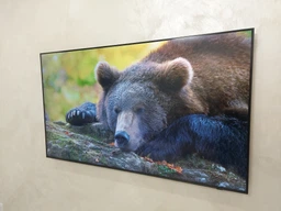 Телевизор Samsung MiniLED 55" QE55QN70FAUXUA фото от покупателей 3