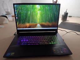 Ноутбук MSI Katana 17 B13VFK (B13VFK-1493XUA) Black / 17.3" IPS 144 Гц / Intel Core i7-13620H / RAM 16 ГБ / SSD 1 ТБ / RTX 4060, 8 ГБ (TDP 105 Вт) / LAN / 4-Zone RGB Подсветка клавиатуры фото от покупателей 12