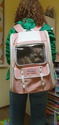 Рюкзак переноска для кота кошки котенка собаки до 8 кг с прозрачным окошком серый (002289) фото от покупателей 4