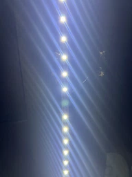Светодиодная LED Strips лента 2835 5 м белый цвет для украшения кухни, комнаты, гардеробной, витрин фото от покупателей 3