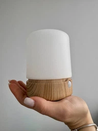 Лед лампа аккумуляторная светодиодная настольная led светильник на аккумуляторе ночник для детей в спальню от юсб с таймером