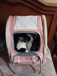 Рюкзак переноска для кота кошки котенка собаки до 8 кг с прозрачным окошком серый (002289) фото от покупателей 3