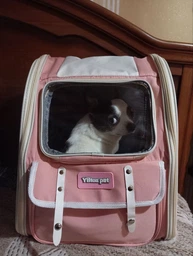 Рюкзак переноска для кота кошки котенка собаки до 8 кг с прозрачным окошком серый (002289) фото от покупателей 1