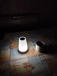 Аккумуляторный ночник с USB зарядкой LED RGB лампа в спальню Villa Volance с пультом, смена 13 цветов, регулировка яркости белая + желтая фото от покупателей 4