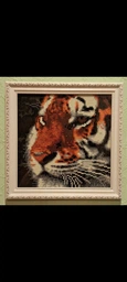 Алмазна вишивка ColorArt 20x20 Тигр DD1224