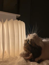 Нічник акумуляторний книга Folding Book Lamp настільний світлодіодний світильник на магніті фото від покупців 1