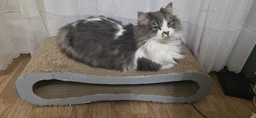 Кігтеточка для кішок картонна CLAW-A2сс 65x14x25+Подарунок іграшка для кота миша