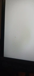 Монитор 23.8" Lenovo Legion 24-10 (68C4GAC4UA) фото от покупателей 10