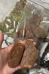 Кора сосновая голтованная (шлифованная), для орхидей средняя фракция 1 литр фото от покупателей 7