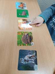 Настільна гра Zoia for Kids Лото Звукове (120 звуків) фото от покупателей 1