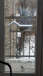 Кормушка для птиц на окно House_for_birds "Домик белый" фото от покупателей 7