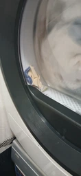 Сушильный автомат Electrolux EW8D595MUC фото от покупателей 7