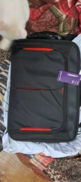Торба для ноутбука Targus Classic+ Clamshell 17-18.4" Black (CN418EU) фото від покупців 2