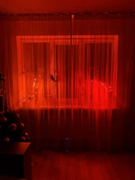 Фитолампа светодиодная LED Plant Grow Light на 4 лампы для роста растений на прищепке фитосветильник для комнатных цветов, рассады фото от покупателей 10