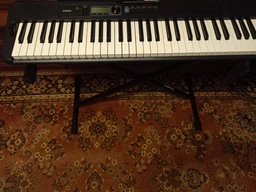 Синтезатор Casio CT-S300 Black (CT-S300C7)