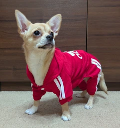 Спортивний костюм для собак Adidog M Рожевий