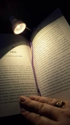 Зникнення аптекарки Сара Пеннер