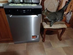 Посудомоечная машина WHIRLPOOL W2F HD624 фото от покупателей 12
