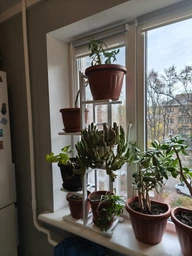 Подставка для цветов и вазонов ясень 103*40*20 cм Натуральный (П4001030200) фото от покупателей 2