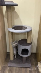 Устойчивая когтеточка для котиков, кошки с домиком гамаком 140*60*50см фото от покупателей 1