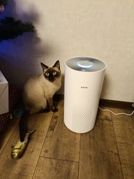 Очищувач повітря RZTK Smart Air Purifier фото від покупців 13