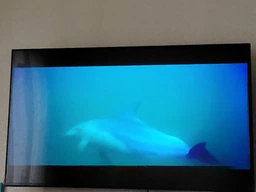 Телевизор Samsung QLED 55" QE55Q7FAAUXUA фото от покупателей 11