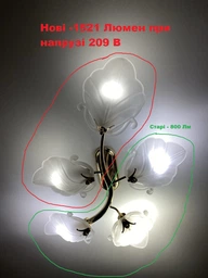 Светодиодная лампа Philips Ecohome LED Bulb 14W E27 6500K 2 шт