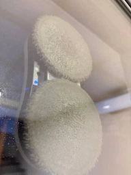 Салфетки для робота мойщика окон RZTK GlassBot Mop, 4 шт фото от покупателей 7