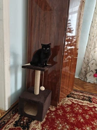 Домик когтеточка для кота дряпка для кошки Мур-Мяу КотэДж 34х34х67 см в джутовой веревке Коричнево-бежевый МТК фото от покупателей 6