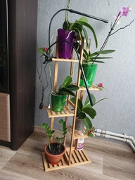 Підставка для квітів Springos із поличками дерев'яна 20 x 40 x 102 см (5907719440507)