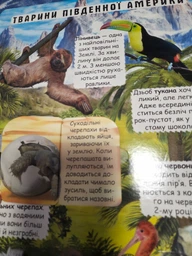 Книжка з секретними віконцями.Відкрий та дізнайся.Тварини планети Земля фото от покупателей 2