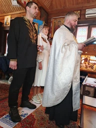 Вишиванка чоловіча Vyshyvanka Колоски, арт.4266 54
