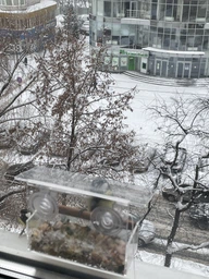 Кормушка для птиц на окно House_for_birds "Лоджия" фото от покупателей 2