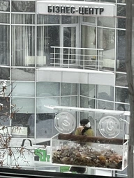 Кормушка для птиц на окно House_for_birds "Лоджия" фото от покупателей 1