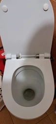 Крышка для унитаза быстросъемное с микролифтом, 346х442 мм, Soloplast СП12-Д фото от покупателей 1