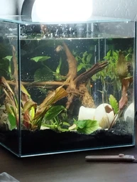 Акваріум Collar aGLASS Nano 27 л (0395)